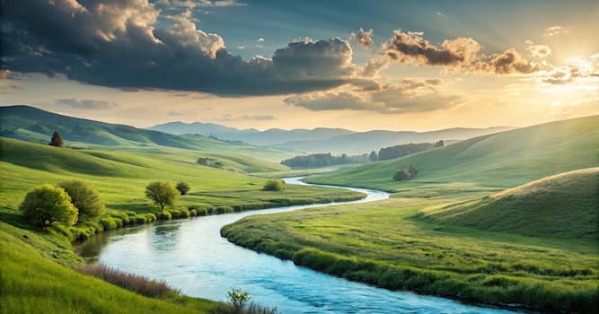 Samhälle Triviafråga: Vilket läkemedel används ofta för att behandla mild till måttlig smärta?