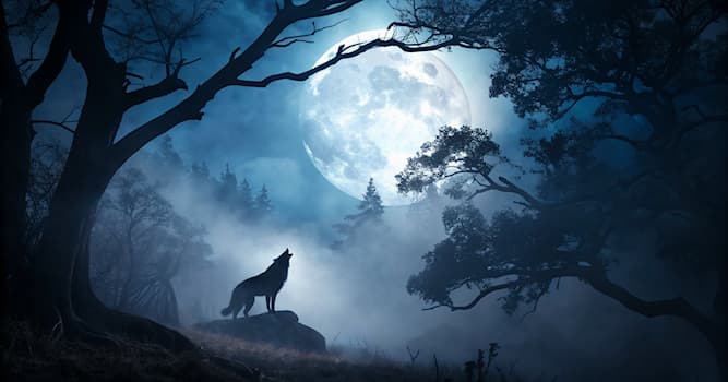 Kültür Trivia Sorusu: Michael Jackson hangi klipte kurt adam oluyor?