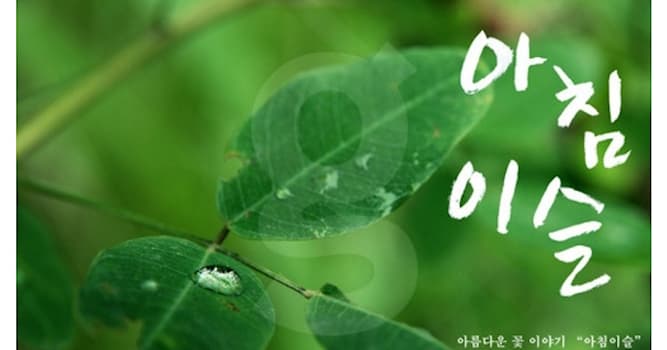 문화 상식 퀴즈: '아침 이슬'은 누구의 노래인가요?