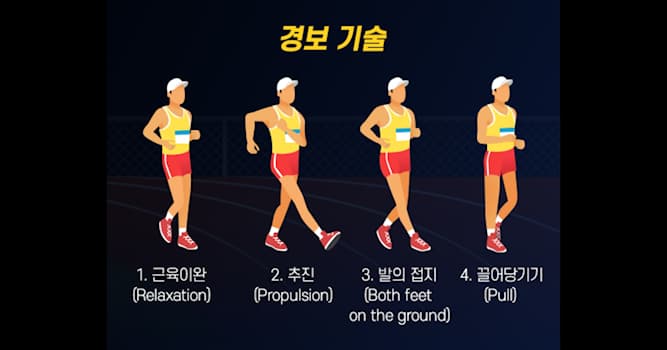 스포츠 상식 퀴즈: 하계 올림픽에서 실시하는 경보 종목은?
