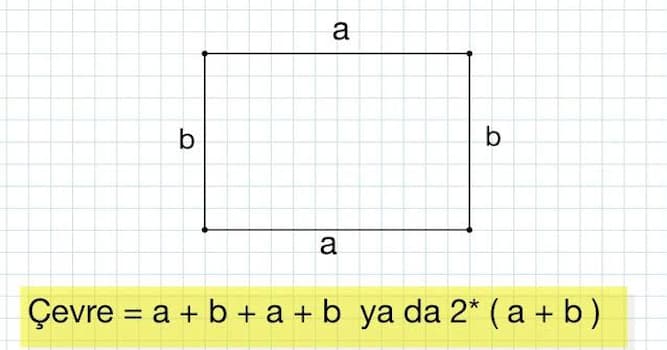 Bilim Trivia Sorusu: Bir dikdörtgenin kısa kenarı 6 cm, uzun kenarı 10 cm’dir. Çevresi kaç cm’dir?