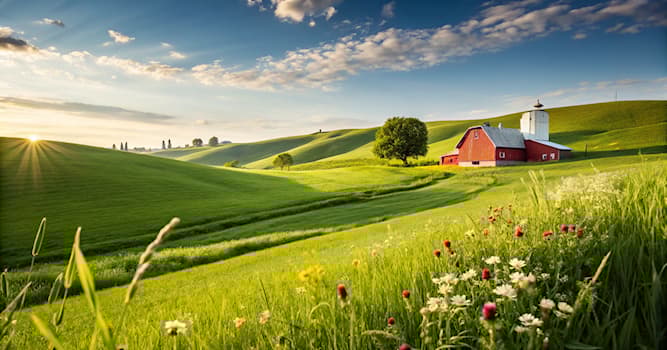 natura Pytanie-Ciekawostka: Jaki jest główny produkt uzyskiwany od krów?