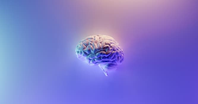 Bilim Trivia Sorusu: Serotoninin ana işlevlerinden biri nedir?