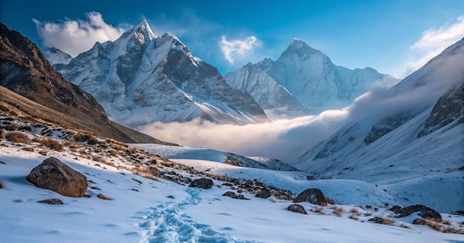 Doğa Trivia Sorusu: Himalayalar'da yaşayan büyük kedi hangisidir?