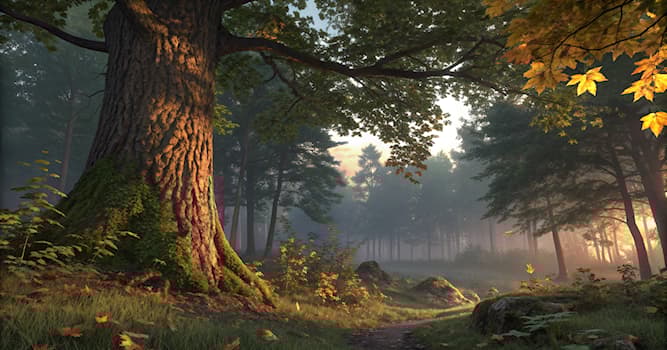 natura Pytanie-Ciekawostka: Jaki jest kolor futra niedźwiedzia brunatnego?