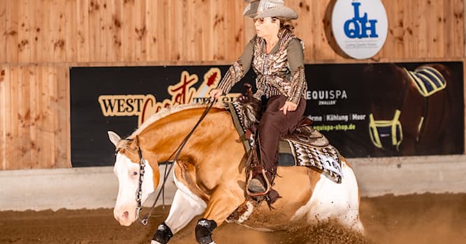 Sport Trivia Vraag: Onder welke discipline valt “Reining”?