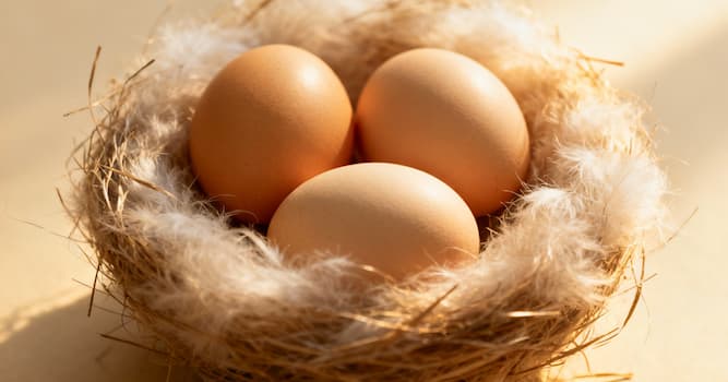 Maatschappij Trivia Vraag: Wat betekent de uitdrukking "eieren voor je geld kiezen"?