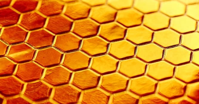 Natuur Trivia Vraag: Waarvan maken bijen honing?