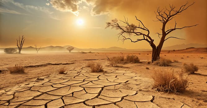 Сiencia Pregunta Trivia: ¿Cómo se llama el estado en el que el cuerpo pierde más agua de la que ingiere?