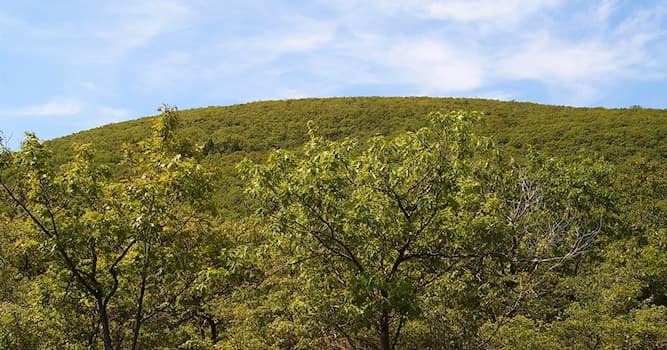 Coğrafya Trivia Sorusu: Connecticut hangi ülkenin eyaletidir?