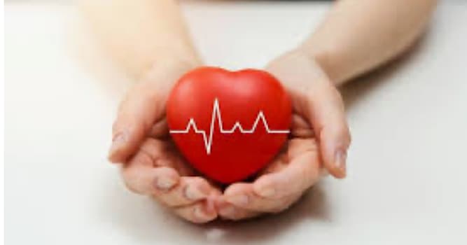 nauka Pytanie-Ciekawostka: Ile komór ma ludzkie serce?