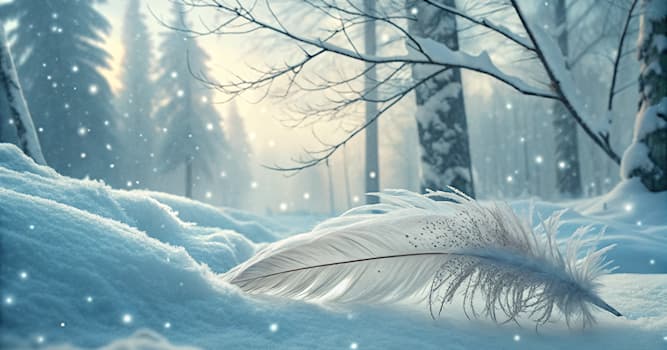 Cultuur Trivia Vraag: Welk materiaal wordt gebruikt voor winterjassen?