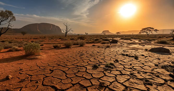 Nature Question: Quel facteur naturel favorise l’abondance de serpents venimeux en Australie ?