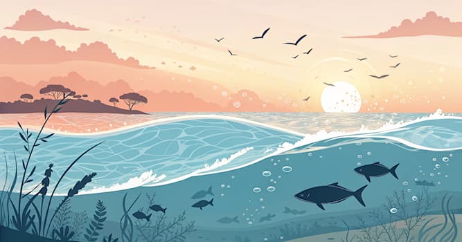 Cultuur Trivia Vraag: Welk ingrediënt wordt typisch gebruikt voor sushi?