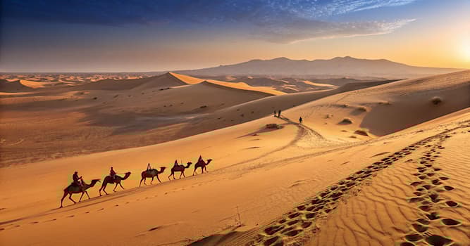 sport Pytanie-Ciekawostka: Który kraj słynie z corocznego wyścigu wielbłądów na pustyni?