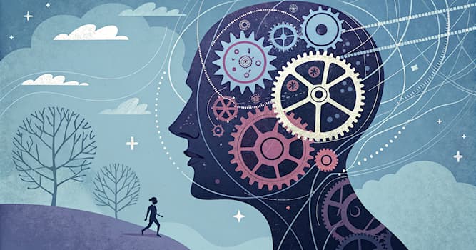 nauka Pytanie-Ciekawostka: Na czym skupia się psychologia poznawcza?