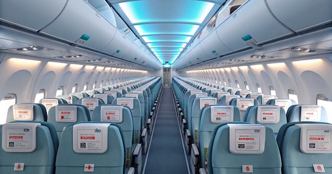 Toplum Trivia Sorusu: Bir Kabin Memurunun Görevi Nedir?