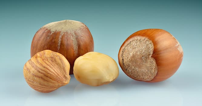 Doğa Trivia Sorusu: Bu meyvenin adı nedir?