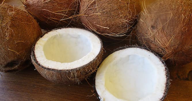 Doğa Trivia Sorusu: Bu meyvenin adı nedir?