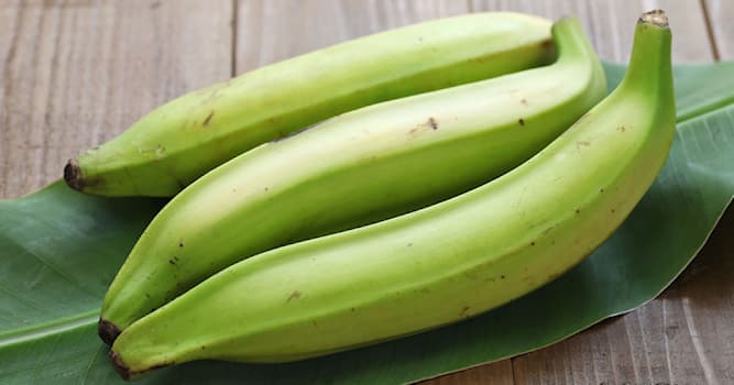 Doğa Trivia Sorusu: Bu meyvenin adı nedir?