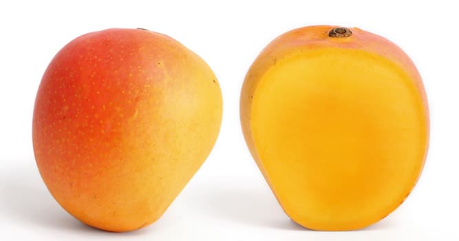 Doğa Trivia Sorusu: Bu meyvenin adı nedir?