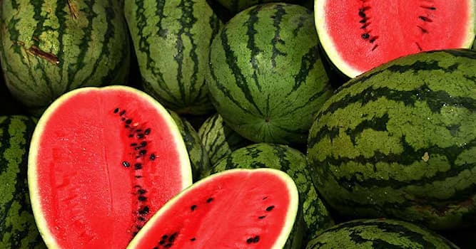 Doğa Trivia Sorusu: Bu meyvenin adı nedir?