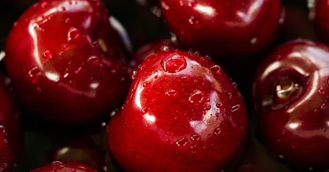 Nature Question: Comment poussent les cerises ?