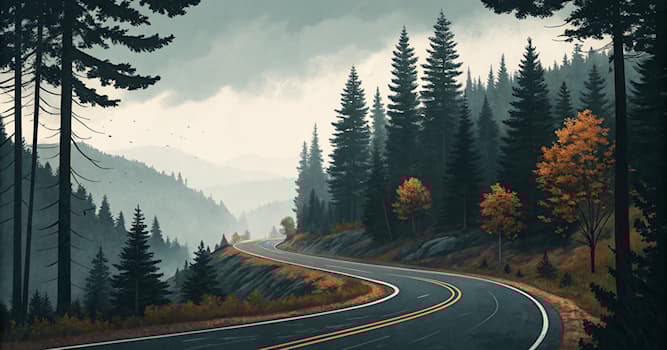 Maatschappij Trivia Vraag: Hoe heet het verkeersbord dat waarschuwt voor een scherpe bocht?