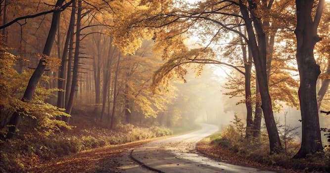 Maatschappij Trivia Vraag: Hoe heet het proces waarbij een auto langzamer gaat rijden?