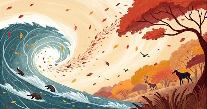 Toplum Trivia Sorusu: Aşırı enerji ve aktivite hali nedir?