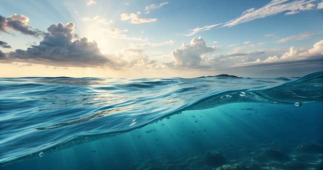 Nature Question: Comment s'appelle la couche supérieure de l'eau dans l'océan ?