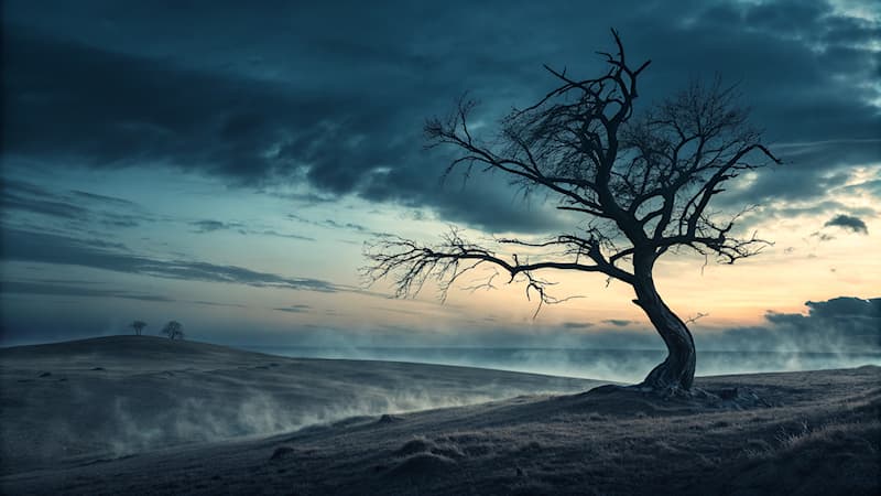 Toplum Trivia Sorusu: Hangi kelime 'umutsuzluk' anlamına gelir?