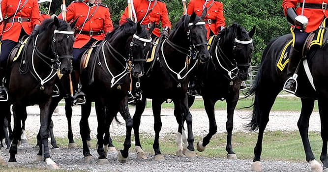 Toplum Trivia Sorusu: Mountie'ler hangi ülkenin polis memurlarıdır?