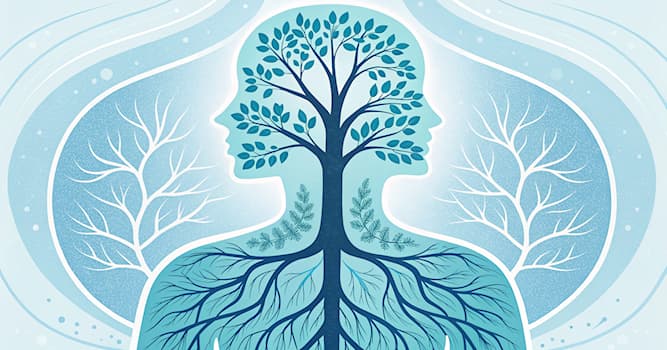 Science Question: Quelle partie du corps humain est appelée « arbre bronchique » ?