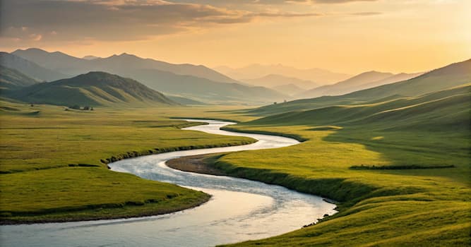 Wetenschap Trivia Vraag: Wat wordt gemeten bij het meten van bloeddruk?