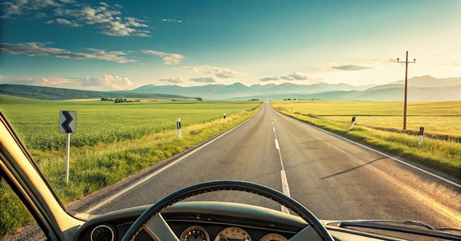 Samhälle Triviafråga: Vad tillåter ett körkort dig att göra?