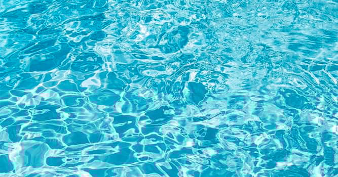 Society Trivia Question: What is cashmere?