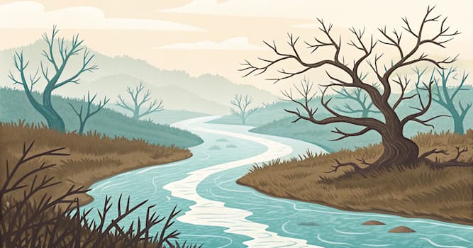 Kültür Trivia Sorusu: Saç Kremi'nin Ana İşlevi Nedir?