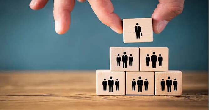 Bilim Trivia Sorusu: Sosyal İlişkileri ve Günlük Kültürü Ne İnceler?