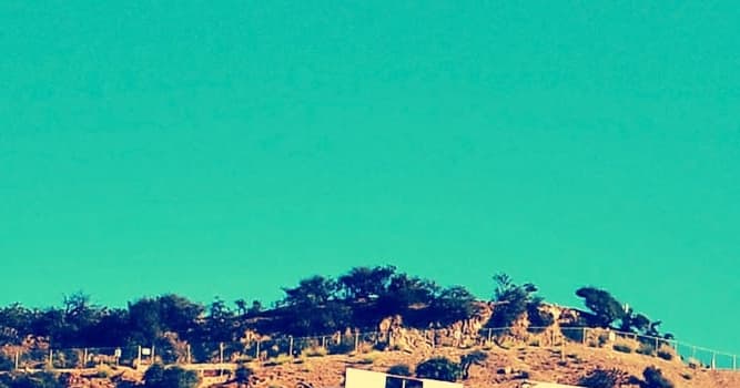 Geografia Pytanie-Ciekawostka: Które miasto ma Hollywood jako swoją dzielnicę?