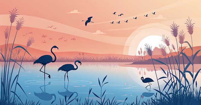 Doğa Trivia Sorusu: Flamingoların ayırt edici özelliği nedir?