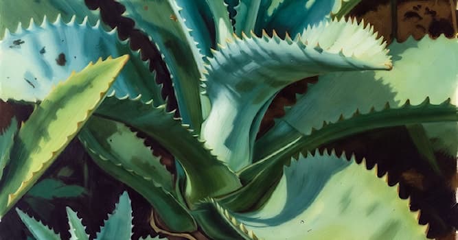 科学 小问题：什么树一生只开一次花？