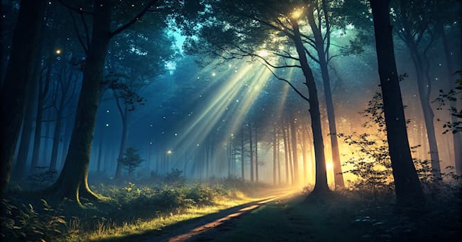 Maatschappij Trivia Vraag: Welk voorwerp wordt gebruikt om donkere plekken te verlichten?