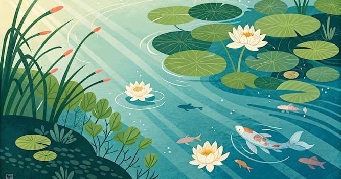 Naturaleza Pregunta Trivia: ¿De qué se alimenta la mayoría de los patos?