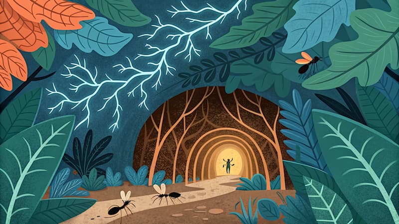 Naturaleza Pregunta Trivia: ¿Qué hacen las hormigas cuando encuentran a un enemigo?