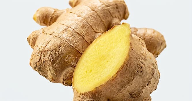 Kültür Trivia Sorusu: Acı kök?