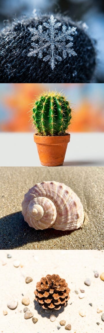 Doğa Trivia Sorusu: Bir plajda ne görürsünüz?