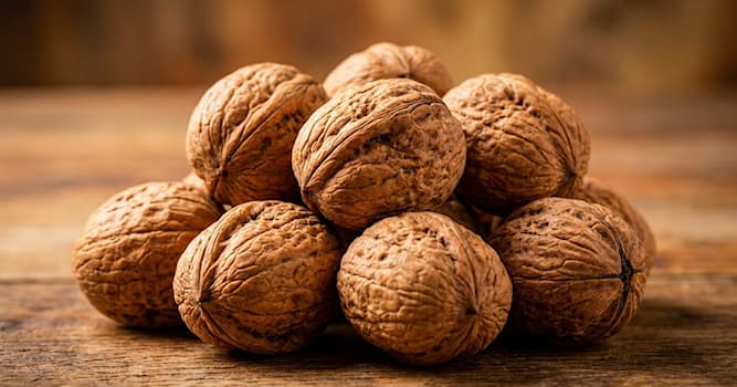 Doğa Trivia Sorusu: Ceviz — nedir?