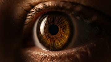 Bilim Trivia Sorusu: En yaygın göz rengi nedir?