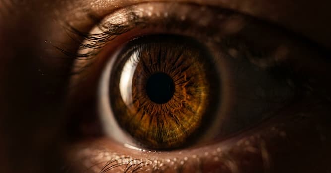 Bilim Trivia Sorusu: En yaygın göz rengi nedir?